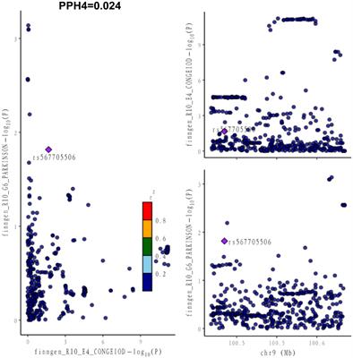 The potential protective role of Parkinson’s disease against hypothyroidism: co-localisation and bidirectional Mendelian randomization study